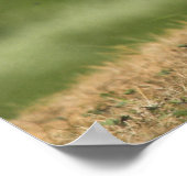 ハレポスター/プリント ポスター (角)