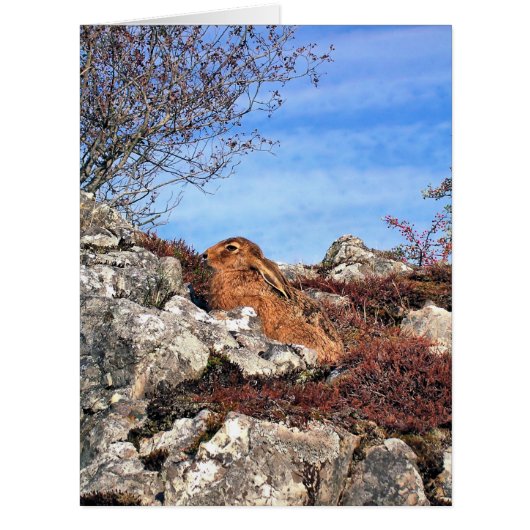 ハレ挨拶カード (正面)