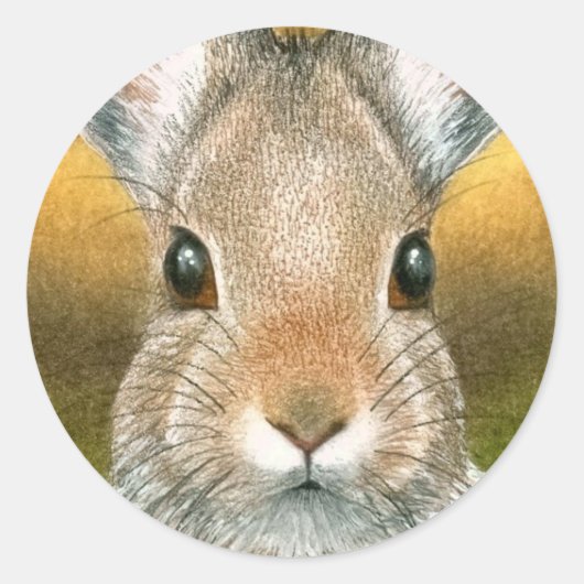 ハレ18シール ラウンドシール (正面)