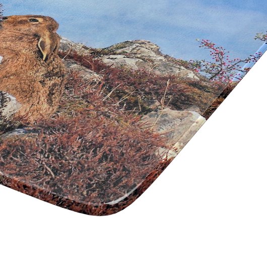 ハレ カッティングボード (角)