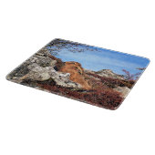 ハレ カッティングボード (角)