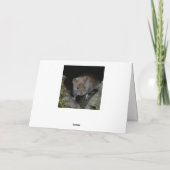 ハレ カード (裏面)