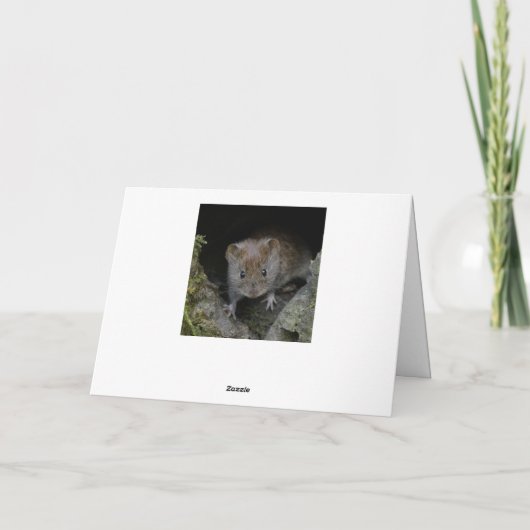 ハレ カード (裏面)