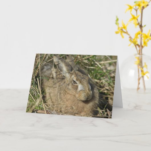 ハレ カード (黄色い花)