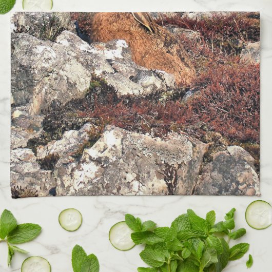 ハレ キッチンタオル (折り畳み)