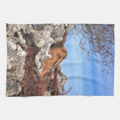 ハレ キッチンタオル (横)