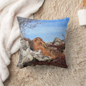 ハレ クッション (ブランケット)