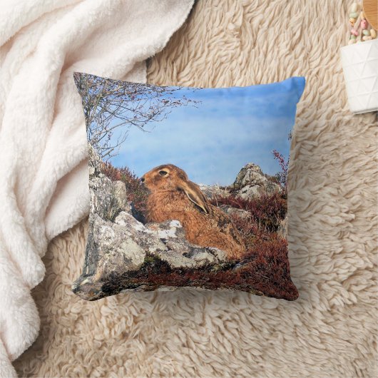 ハレ クッション (ブランケット)