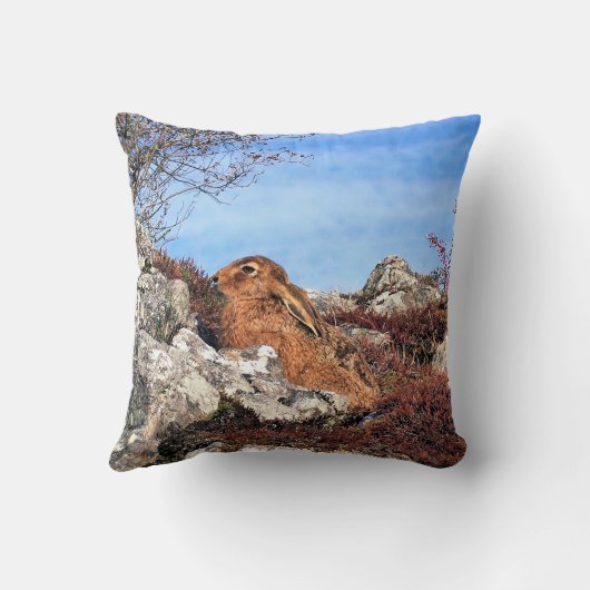 ハレ クッション (裏面)