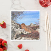 ハレ スタンダードランチョンナプキン (インサイチュ)