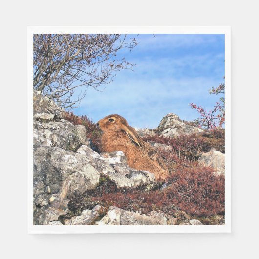 ハレ スタンダードランチョンナプキン (正面)