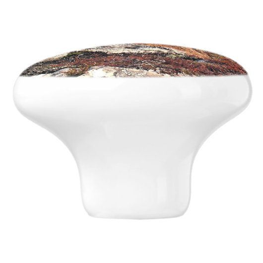 ハレ セラミックノブ (側面)