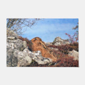 ハレ ドアマット (正面)