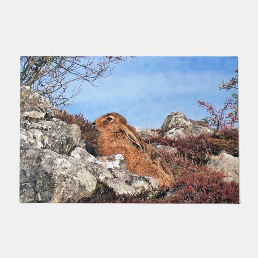 ハレ ドアマット (正面)