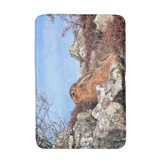 ハレ バスマット (正面縦)