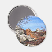 ハレ マグネット (正面/裏面)