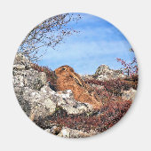 ハレ マグネット (正面)