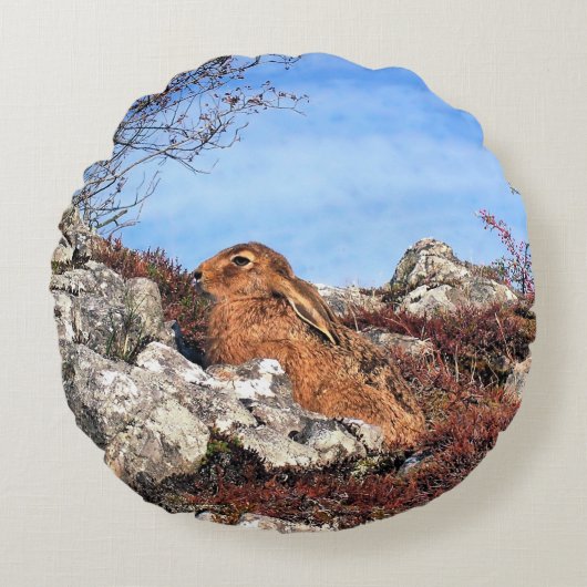 ハレ ラウンドクッション (正面)