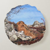 ハレ ラウンドクッション (裏面)