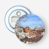 ハレ 栓抜き (正面)