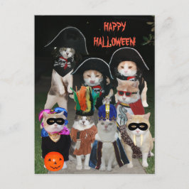 ハロウィンおもしろいに遊ぶ猫 ポストカード