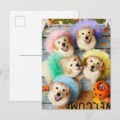 ハロウィンにお菓子をせがむゴールデン・パピーたち インビテーションポストカード (正面/裏面)