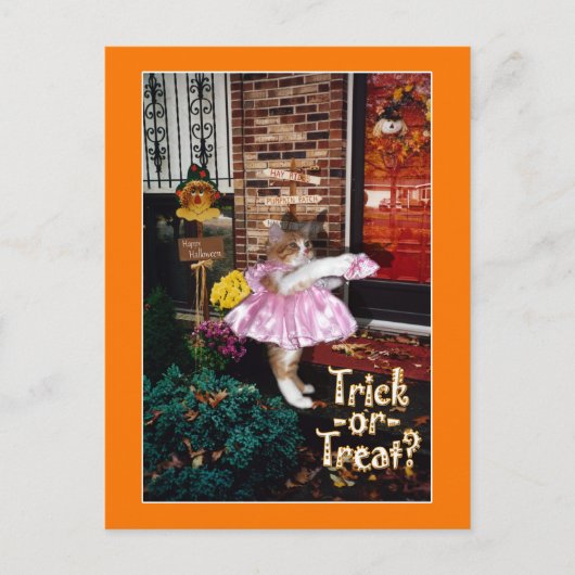 ハロウィンのお菓子をくれなきゃイタズラしちゃうニャン ポストカード (正面)