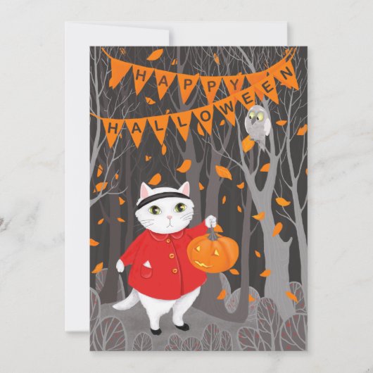 ハロウィンのかわいい猫とジャック・オ・ランタン・カボチャ (正面)