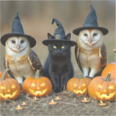 ハロウィンのかわいい黒猫とフクロウ シール (正面)