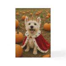 ハロウィンのウェスティークイーン
