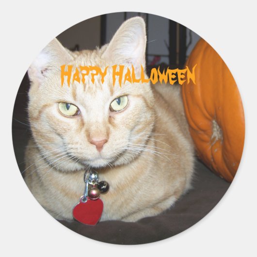 ハロウィンのオレンジタビー猫とカボチャ ラウンドシール (正面)