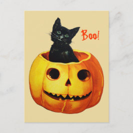 ハロウィンのカボチャの中の可愛い猫 ヴィンテージ ハロウィンポストカード ポストカード