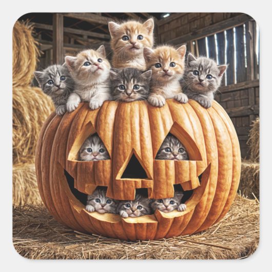 ハロウィンのカボチャの中の子猫たち スクエアシール (正面)
