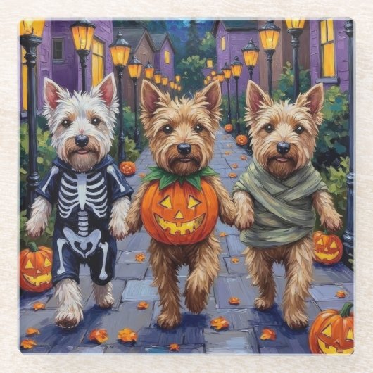 ハロウィンのコスチュームを着たウィートテリアの犬 ガラスコースター (正面)