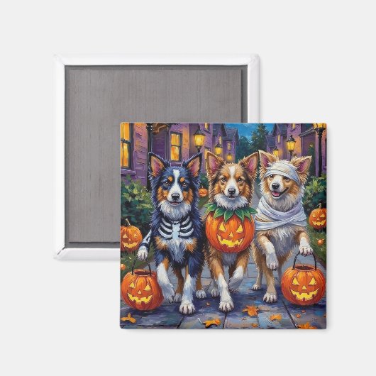 ハロウィンのコスチュームを着たシェルティ マグネット (正面/裏面)