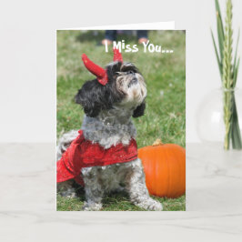 ハロウィンのシーズー（犬）のTzu犬 カード