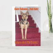 ハロウィンのドイツ牧羊犬 悲しい お菓子なし シーズンカード (正面)