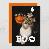 ハロウィンのペット ゴースト スパイダー 目の写真 シーズンカード (正面/裏面)