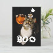 ハロウィンのペット ゴースト スパイダー 目の写真 シーズンカード (スタンド正面)