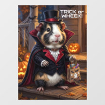 ハロウィンのモルモット、猫のコスチューム トリック オア ウィーク!