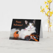 ハロウィンの三毛猫とカボチャ カード (黄色い花)