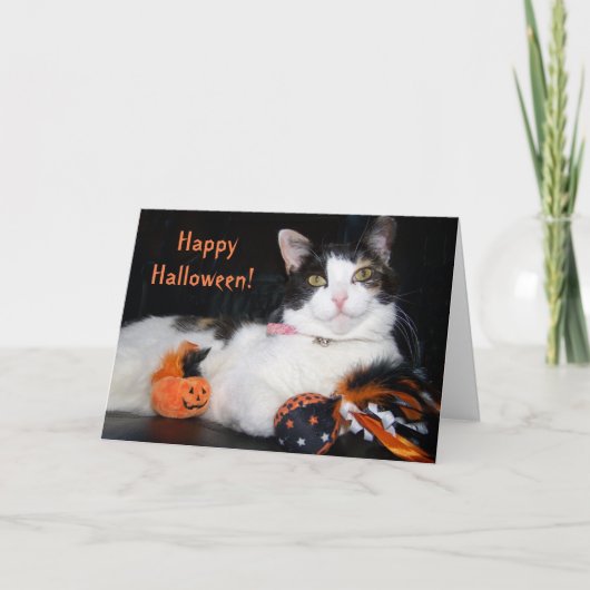 ハロウィンの三毛猫とカボチャ カード (正面)