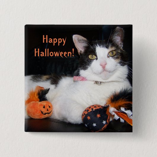 ハロウィンの三毛猫 かぼちゃと一緒に 缶バッジ (正面)