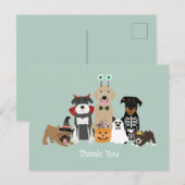 ハロウィンの不気味なペット用衣装に感謝 ポストカード (正面/裏面)