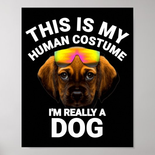 ハロウィンの仮装 人間の格好だけど実は犬です 面白いハロウィーン ポスター (正面)