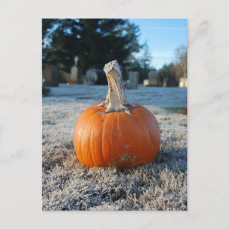 ハロウィンの墓場のかぼちゃ シーズンポストカード