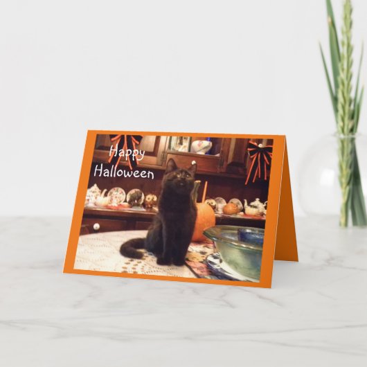ハロウィンの子ネコの挨拶状 カード (正面)