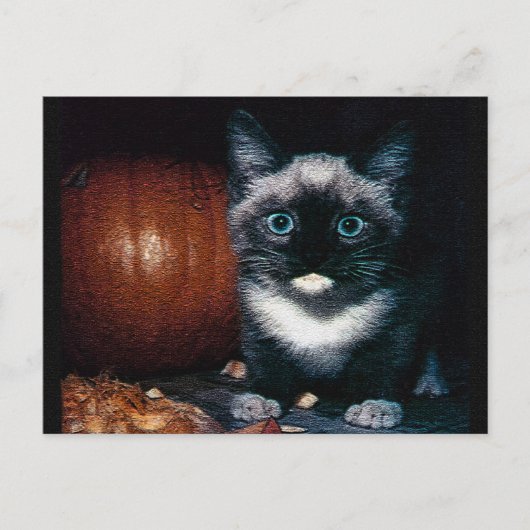 ハロウィンの子猫とかぼちゃ ポストカード (正面)