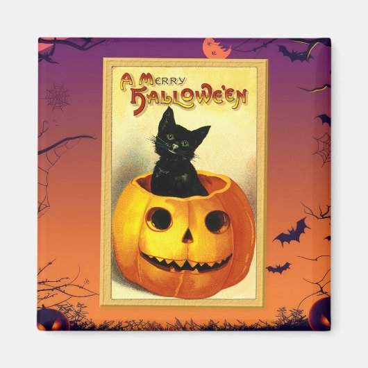 ハロウィンの子猫のジャック・オ・ランタン Vintage マグネット (正面)