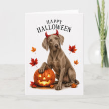 ハロウィンの悪魔の犬 ヴァイマラナー